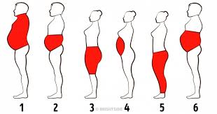 Body Fat Percentage